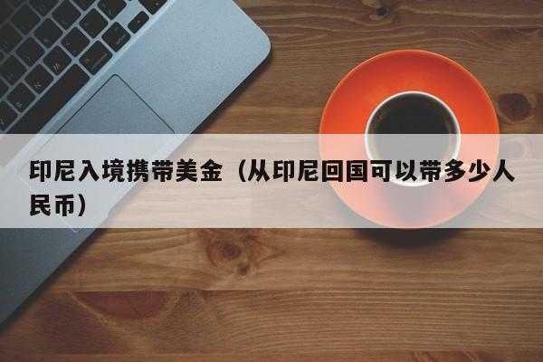 印尼入境携带美金（从印尼回国可以带多少人民币）