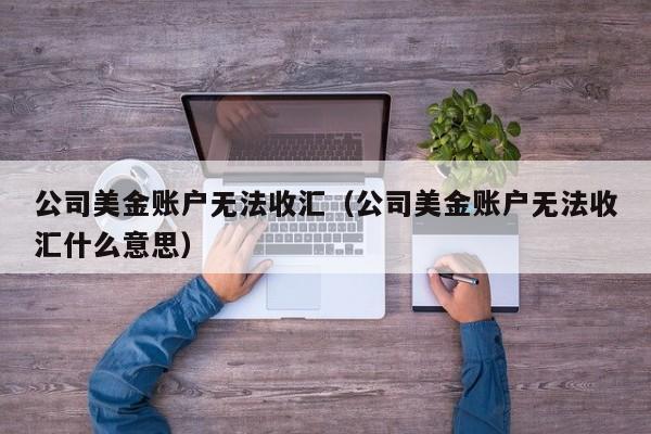 公司美金账户无法收汇（公司美金账户无法收汇什么意思）
