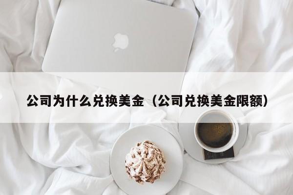 公司为什么兑换美金（公司兑换美金限额）