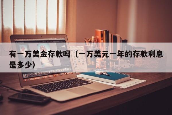 有一万美金存款吗（一万美元一年的存款利息是多少）