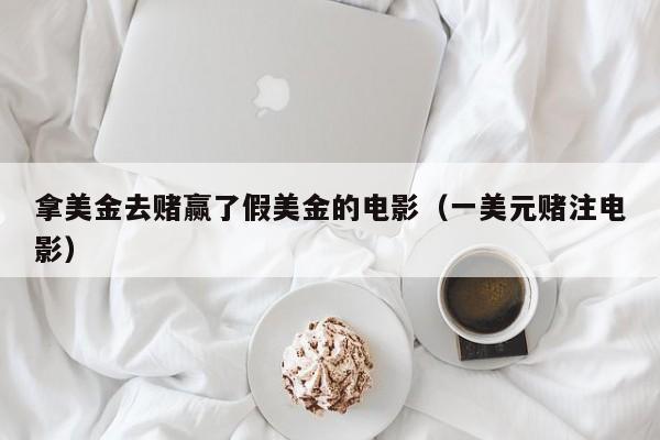 拿美金去赌赢了假美金的电影（一美元赌注电影）
