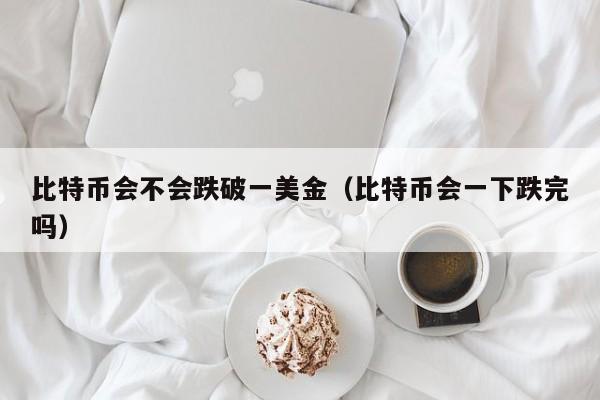 比特币会不会跌破一美金（比特币会一下跌完吗）