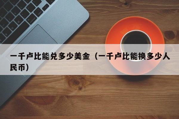 一千卢比能兑多少美金（一千卢比能换多少人民币）