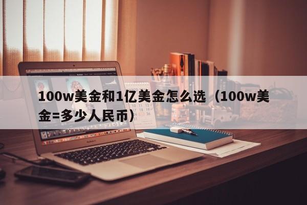 100w美金和1亿美金怎么选（100w美金=多少人民币）