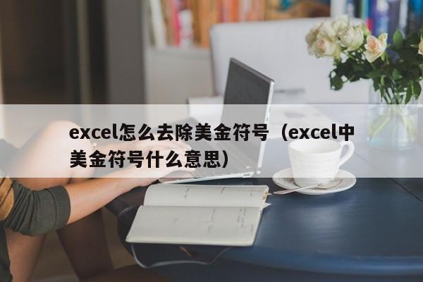 excel怎么去除美金符号（excel中美金符号什么意思）