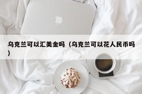 乌克兰可以汇美金吗（乌克兰可以花人民币吗）