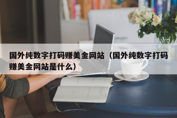 国外纯数字打码赚美金网站（国外纯数字打码赚美金网站是什么）