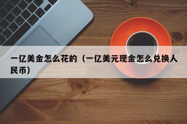 一亿美金怎么花的（一亿美元现金怎么兑换人民币）