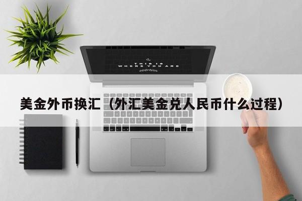 美金外币换汇（外汇美金兑人民币什么过程）