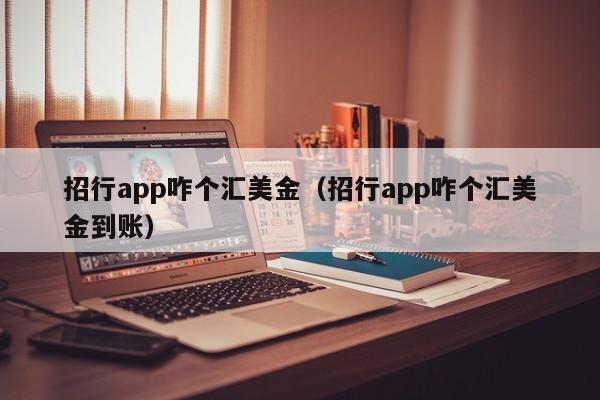 招行app咋个汇美金（招行app咋个汇美金到账）