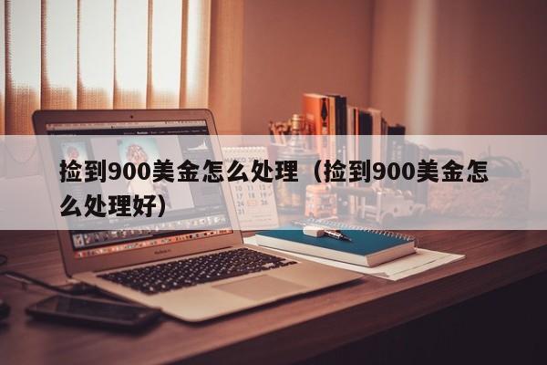 捡到900美金怎么处理（捡到900美金怎么处理好）