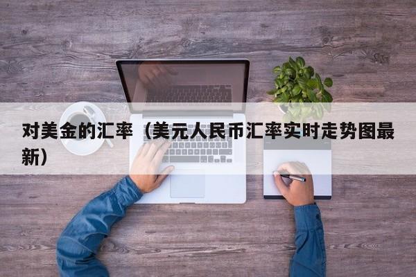 对美金的汇率（美元人民币汇率实时走势图最新）