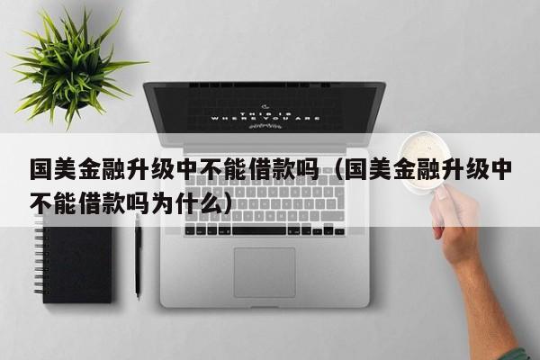 国美金融升级中不能借款吗（国美金融升级中不能借款吗为什么）