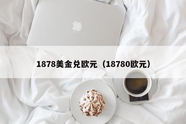1878美金兑欧元（18780欧元）