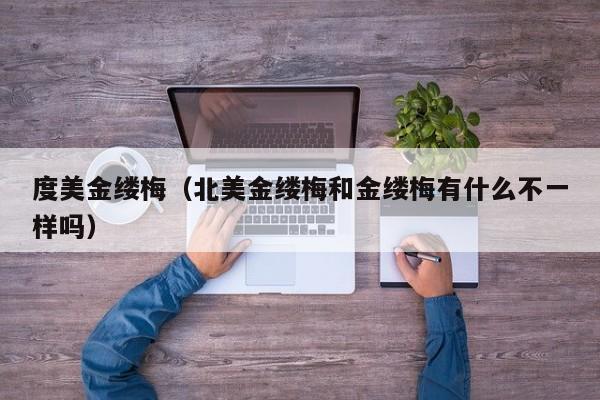 度美金缕梅（北美金缕梅和金缕梅有什么不一样吗）