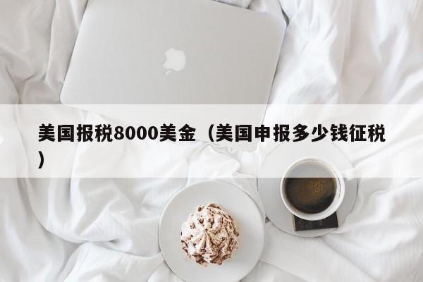 美国报税8000美金（美国申报多少钱征税）