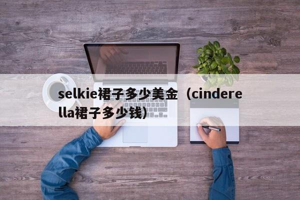 selkie裙子多少美金（cinderella裙子多少钱）