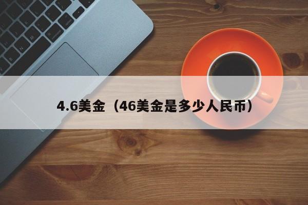 4.6美金（46美金是多少人民币）