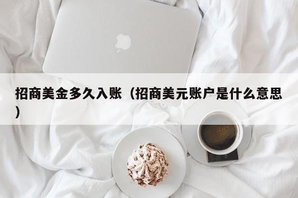 招商美金多久入账（招商美元账户是什么意思）