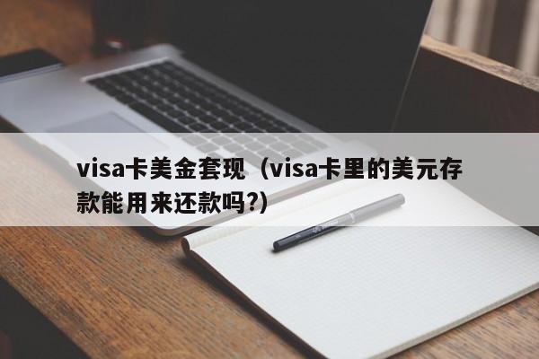visa卡美金套现（visa卡里的美元存款能用来还款吗?）