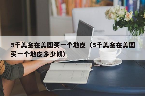 5千美金在美国买一个地皮（5千美金在美国买一个地皮多少钱）