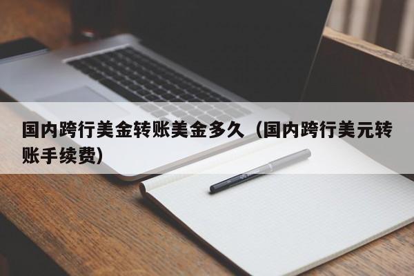 国内跨行美金转账美金多久（国内跨行美元转账手续费）