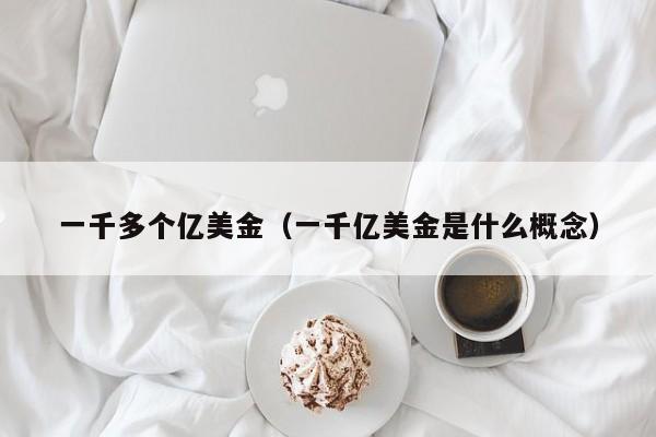 一千多个亿美金（一千亿美金是什么概念）