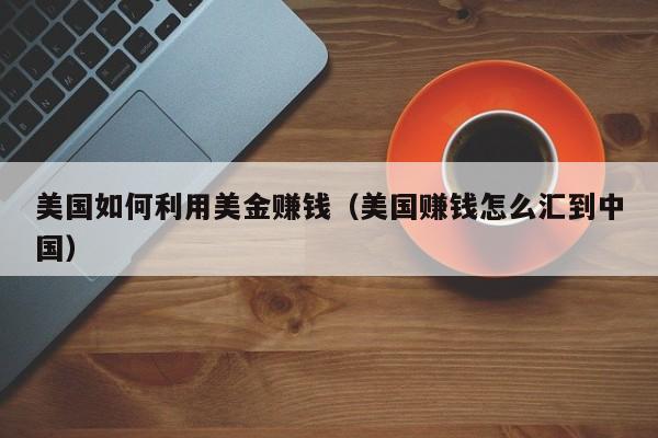 美国如何利用美金赚钱（美国赚钱怎么汇到中国）