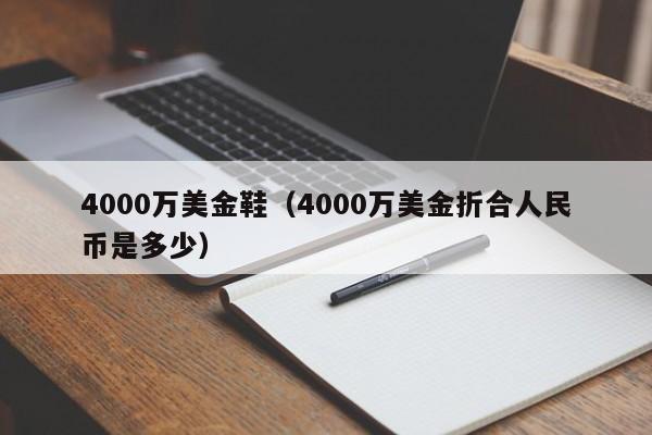 4000万美金鞋（4000万美金折合人民币是多少）