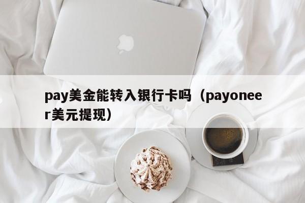 pay美金能转入银行卡吗（payoneer美元提现）
