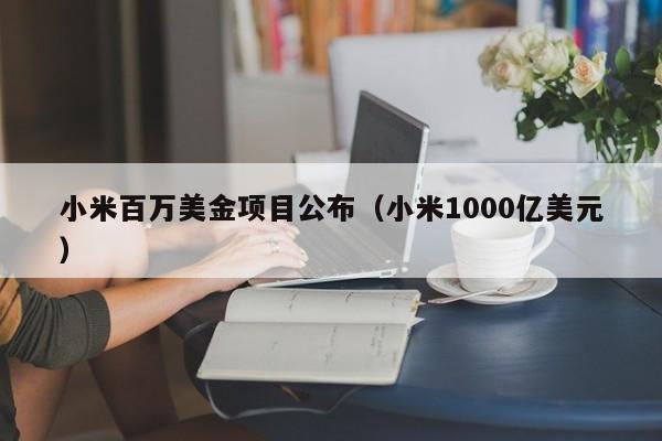 小米百万美金项目公布（小米1000亿美元）
