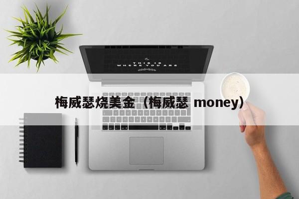 梅威瑟烧美金（梅威瑟 money）