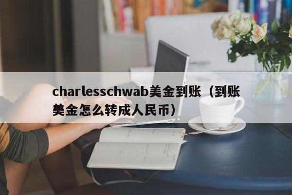 charlesschwab美金到账（到账美金怎么转成人民币）