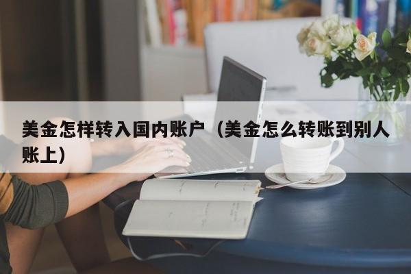 美金怎样转入国内账户（美金怎么转账到别人账上）
