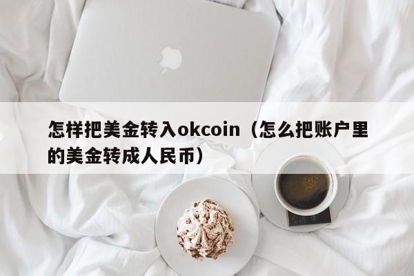 怎样把美金转入okcoin（怎么把账户里的美金转成人民币）