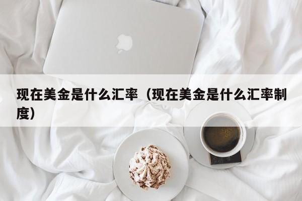 现在美金是什么汇率（现在美金是什么汇率制度）