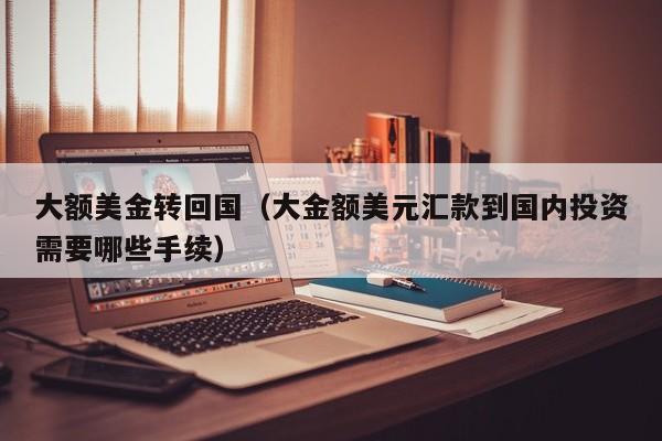 大额美金转回国（大金额美元汇款到国内投资需要哪些手续）