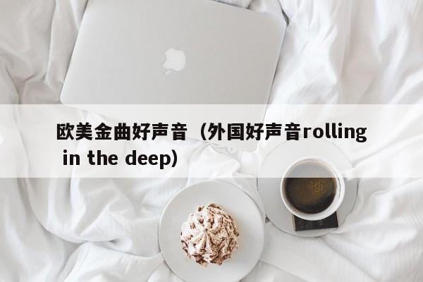 欧美金曲好声音（外国好声音rolling in the deep）