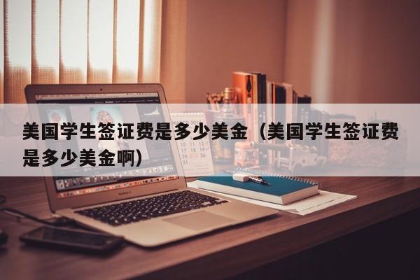 美国学生签证费是多少美金（美国学生签证费是多少美金啊）