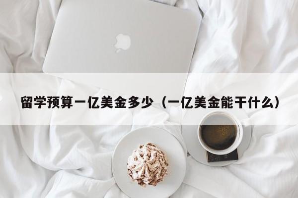 留学预算一亿美金多少（一亿美金能干什么）