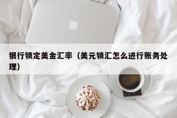 银行锁定美金汇率（美元锁汇怎么进行账务处理）