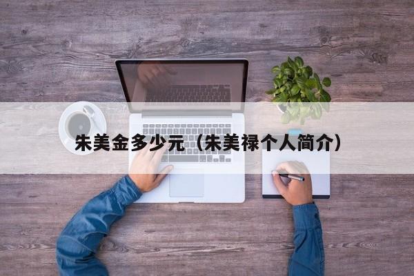 朱美金多少元（朱美禄个人简介）