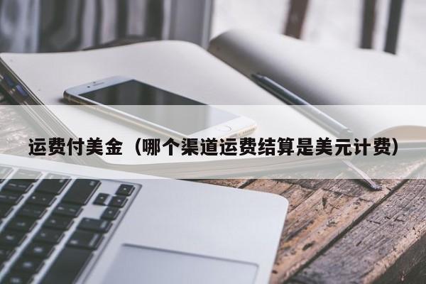 运费付美金（哪个渠道运费结算是美元计费）