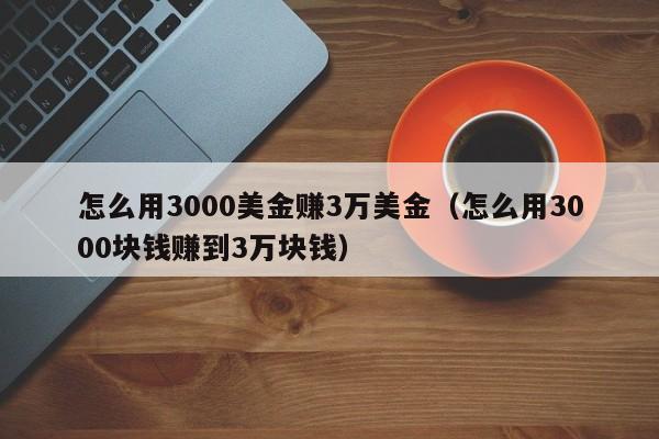 怎么用3000美金赚3万美金（怎么用3000块钱赚到3万块钱）