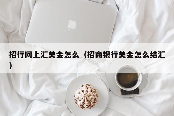 招行网上汇美金怎么（招商银行美金怎么结汇）