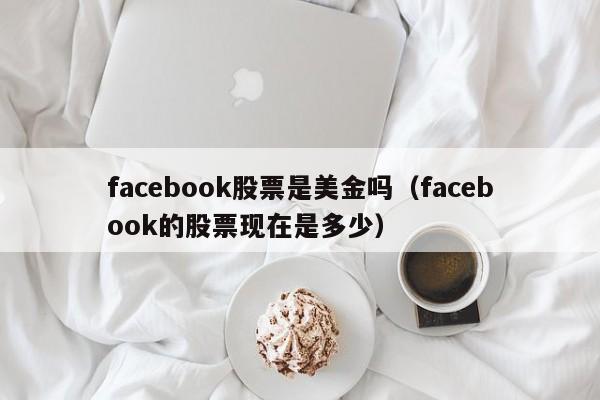 facebook股票是美金吗（facebook的股票现在是多少）
