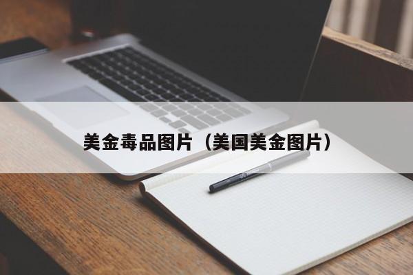 美金毒品图片（美国美金图片）