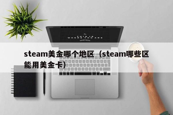 steam美金哪个地区（steam哪些区能用美金卡）