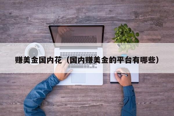 赚美金国内花（国内赚美金的平台有哪些）
