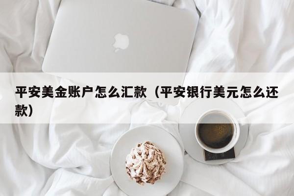 平安美金账户怎么汇款（平安银行美元怎么还款）
